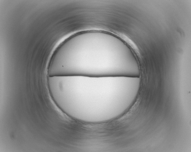 X0000115701380200911251825