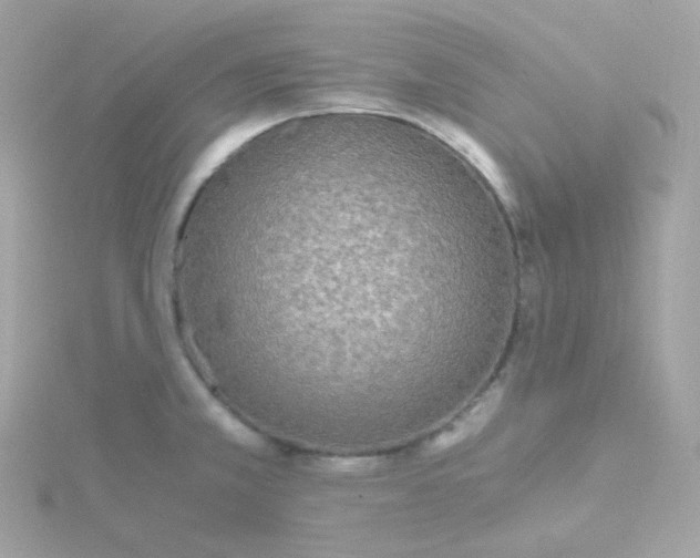 X0000115701381200911251825