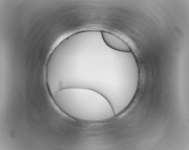 X0000115701382200911251825