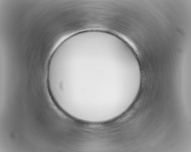 X0000115701383200911251825