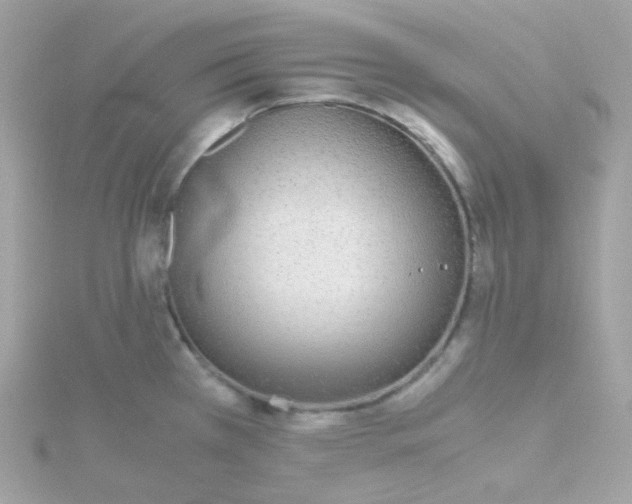 X0000115701385200911251825