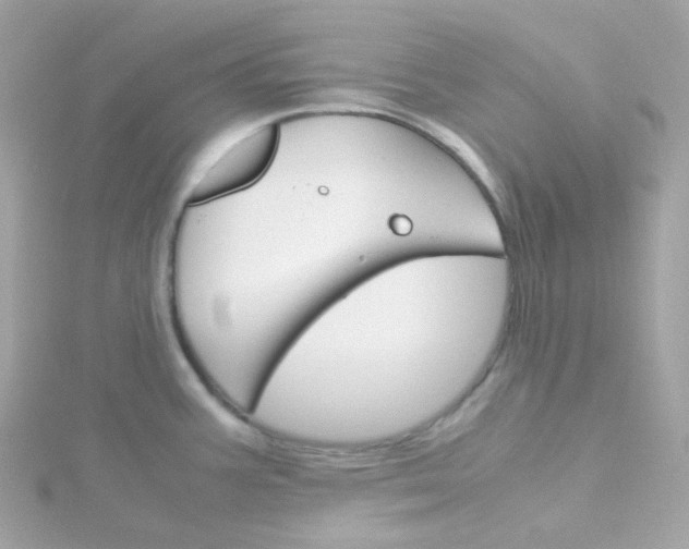 X0000115701387200911251825