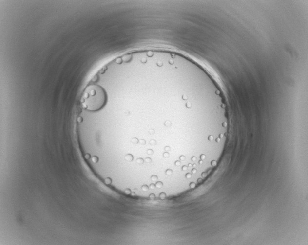 X0000115701390200911251825