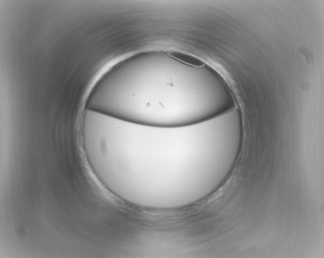 X0000115701392200911251825