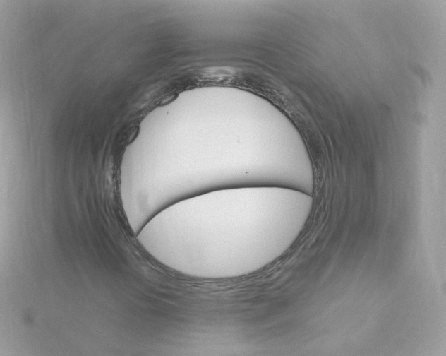 X0000115701394200911251824