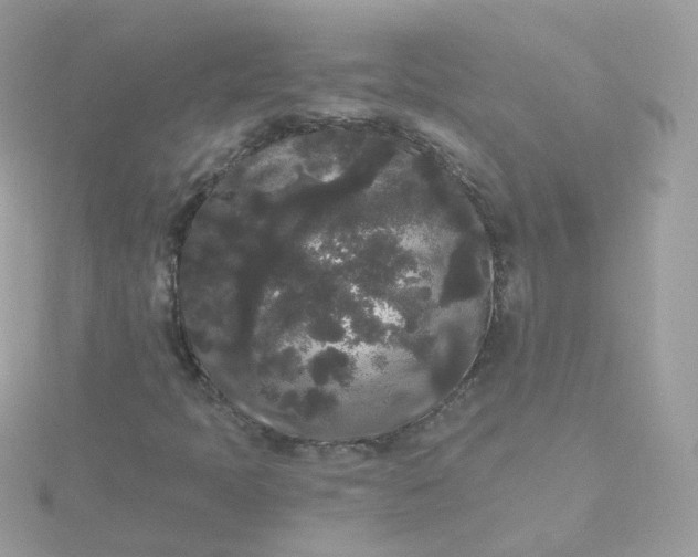 X0000115701397200911251824