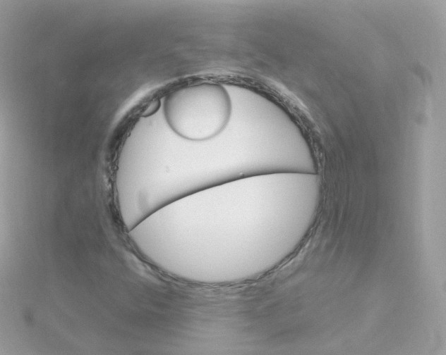 X0000115701400200911251824