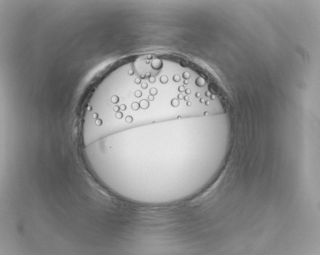 X0000115701406200911251824