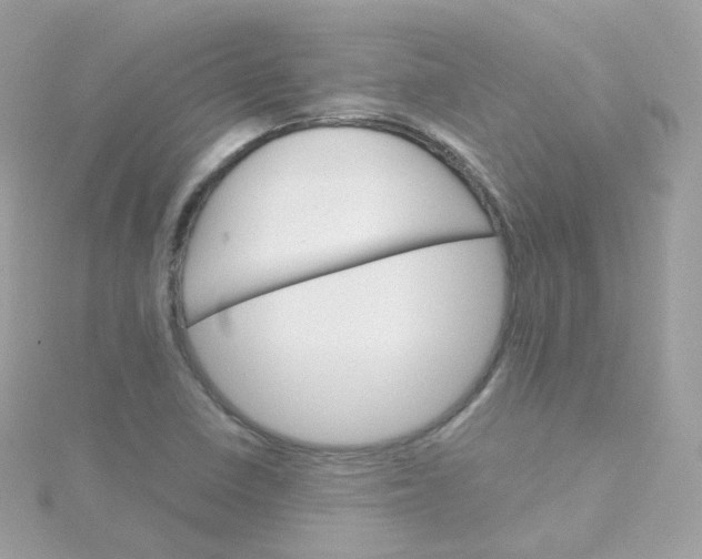 X0000115701410200911251824