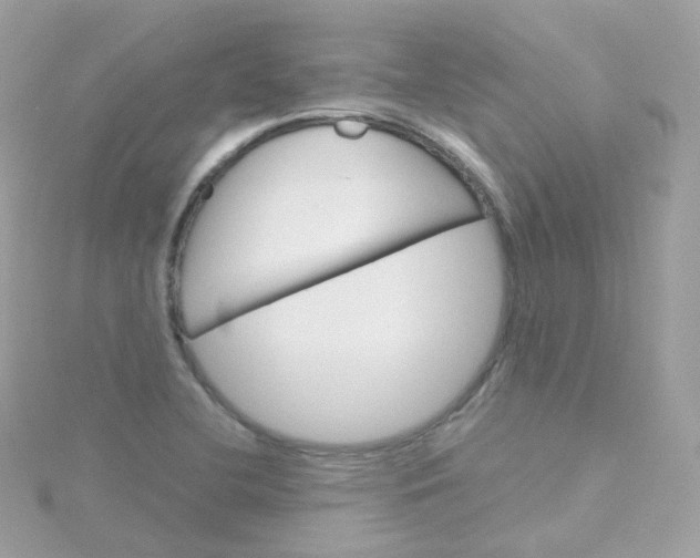 X0000115701412200911251824