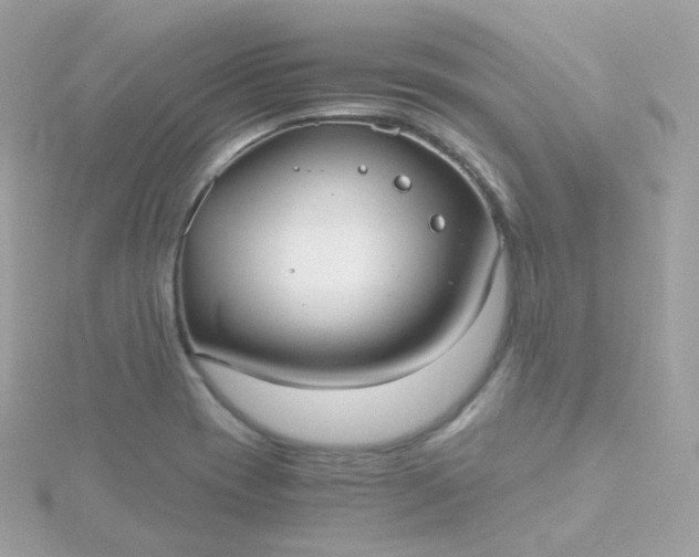 X0000115701417200911251824