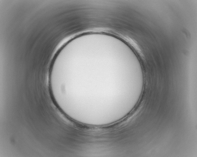 X0000115701420200911251824