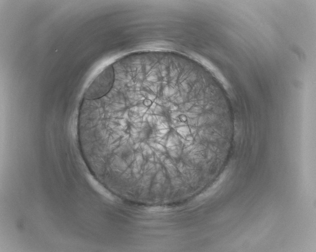 X0000115701421200911251824