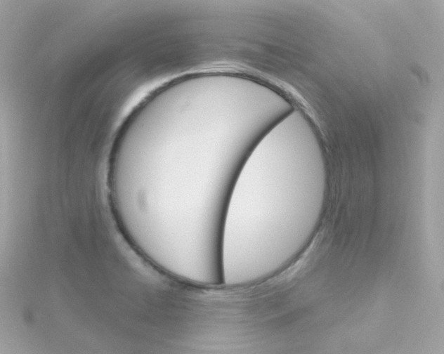 X0000115701422200911251824