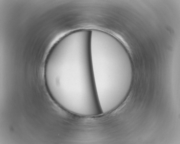 X0000115701424200911251825