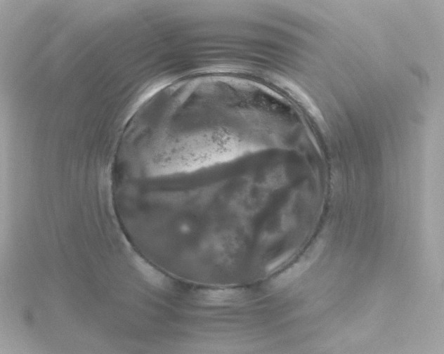 X0000115701425200911251825