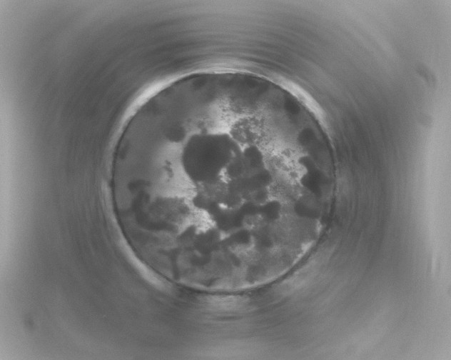 X0000115701429200911251825