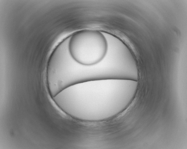 X0000115701432200911251825