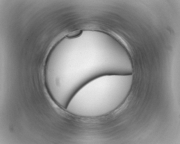 X0000115701434200911251825