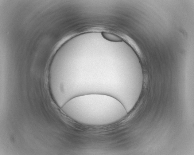 X0000115701435200911251825