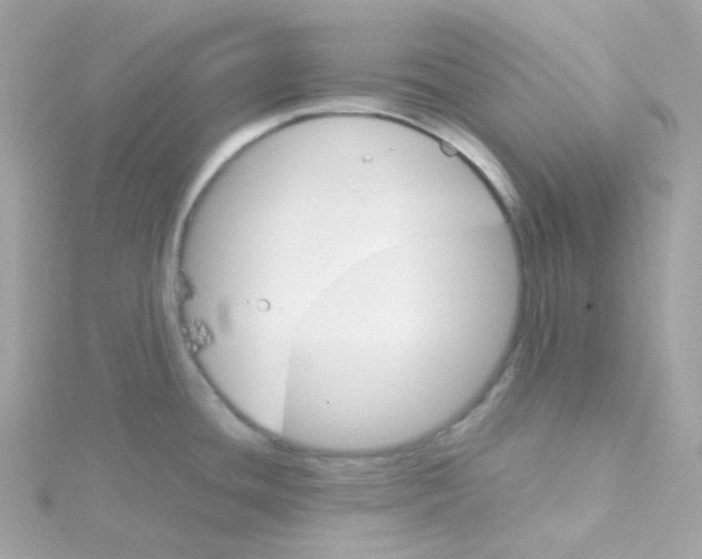 X0000115701436200911251825