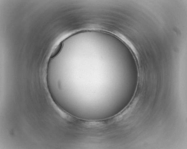 X0000115701437200911251825