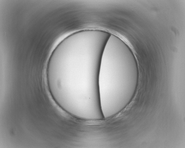 X0000115701440200911251825