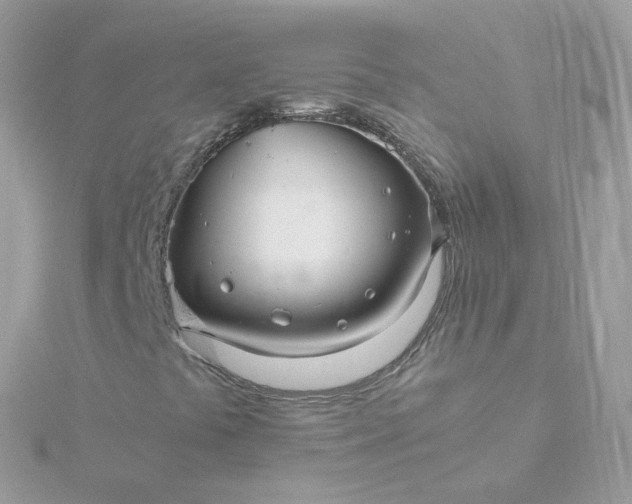 X0000115701441200911251824