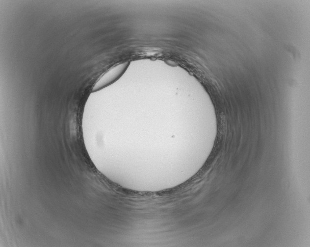 X0000115701442200911251824