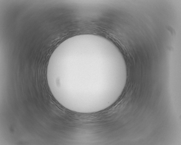 X0000115701443200911251824