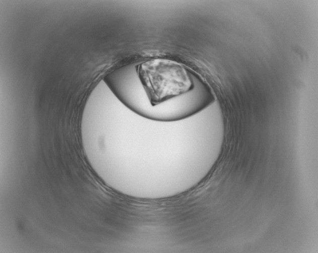 X0000115701444200911251824