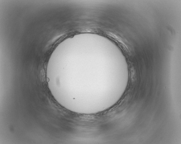 X0000115701446200911251824