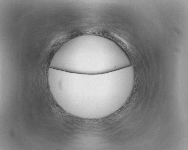 X0000115701447200911251824