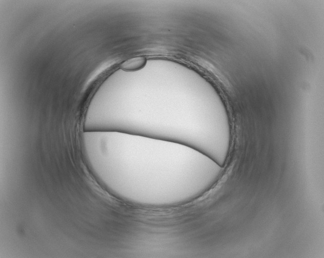 X0000115701450200911251824