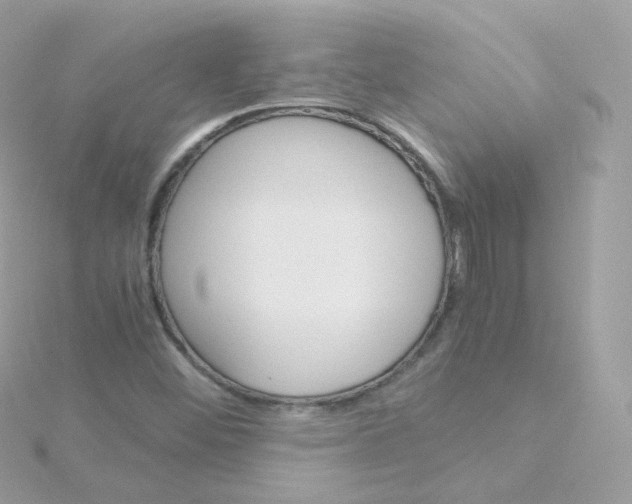 X0000115701452200911251824