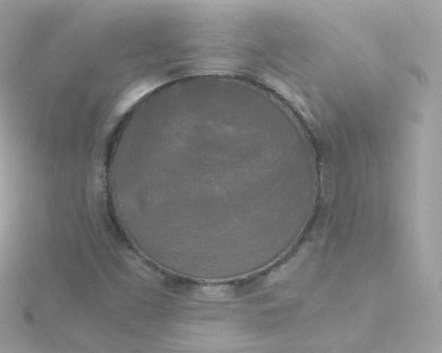 X0000115701453200911251824