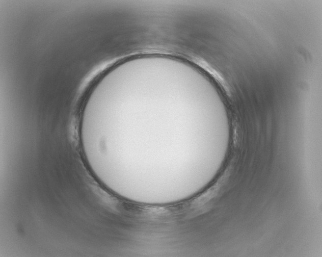 X0000115701454200911251824