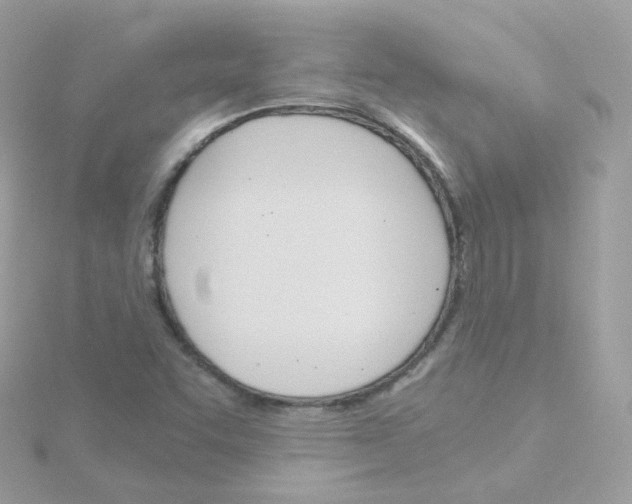 X0000115701455200911251824