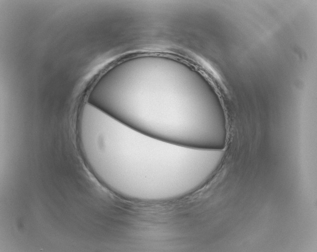 X0000115701456200911251824