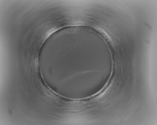 X0000115701457200911251824