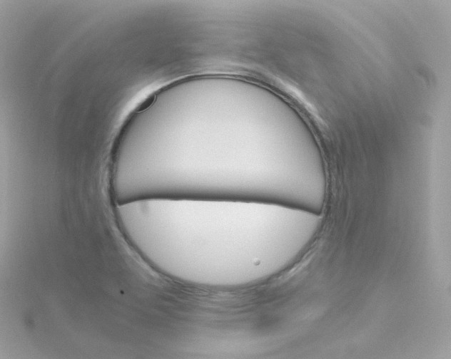 X0000115701463200911251824