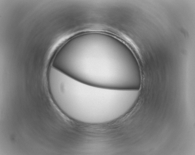 X0000115701464200911251824