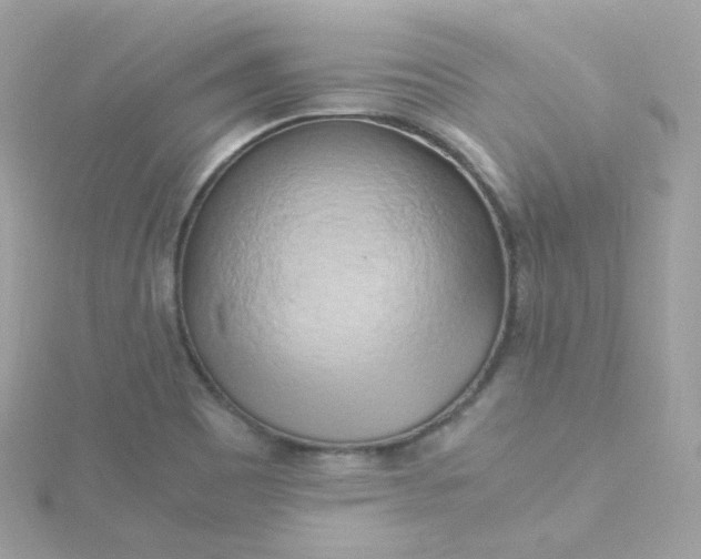 X0000115701465200911251824