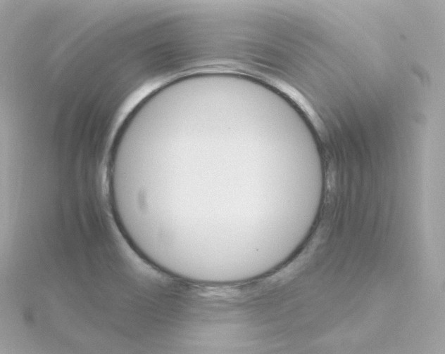 X0000115701466200911251824