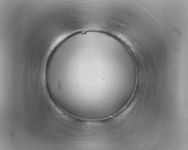 X0000115701469200911251824