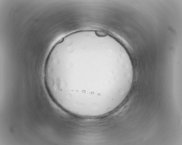 X0000115701471200911251824