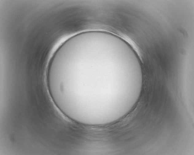 X0000115701472200911251824