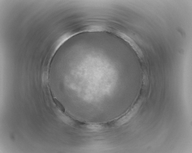 X0000115701473200911251824