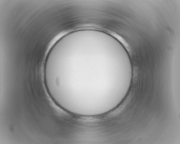 X0000115701474200911251824