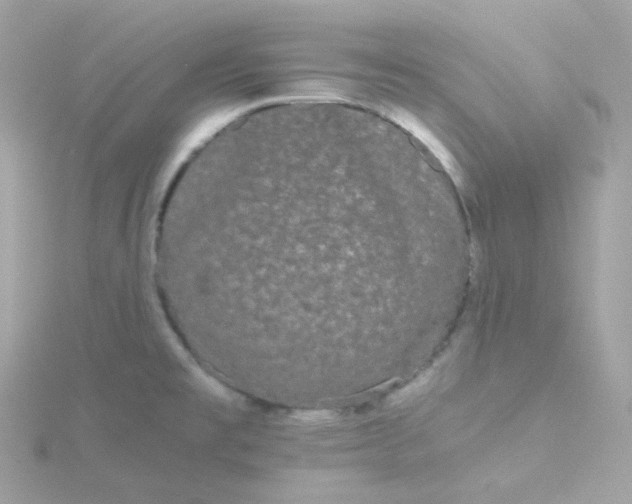 X0000115701477200911251824